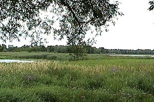 View of Petite Baie Clément Marsh
