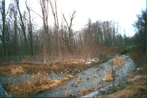 Creek in Queen's Park