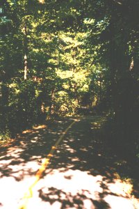 View of bike path