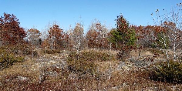 Rock Outcrops and Woodland along the Carp Ridge on the Thomas Dolan Parkway