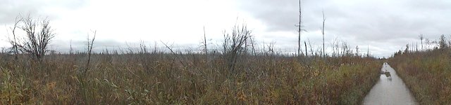 Panorama of Swamp on Old Almonte Road
