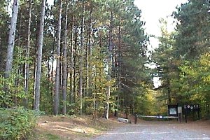 View of Pinhey Forest Reserve: Slack Road area