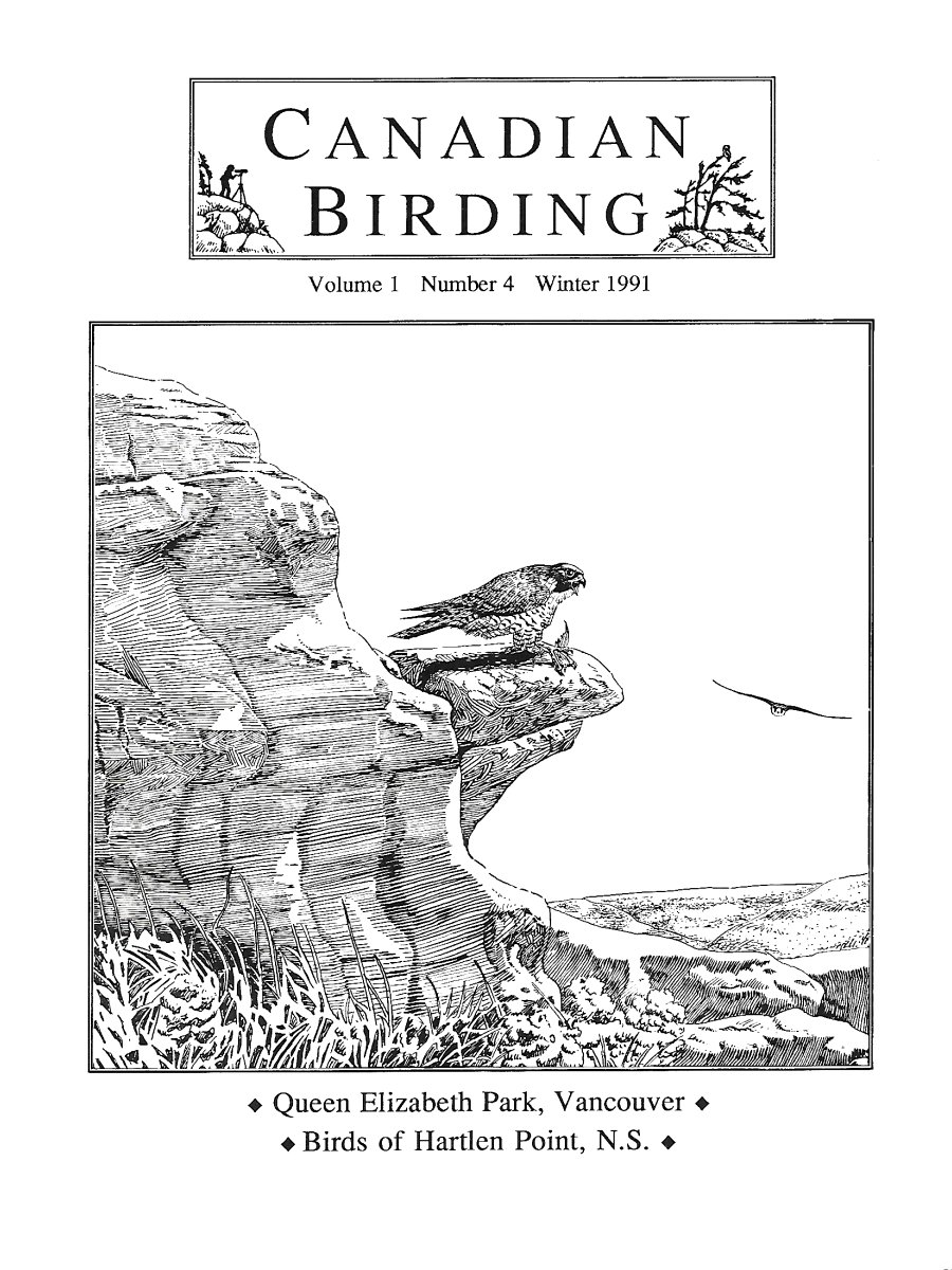 Canadian Birding Winter 1991 Cover