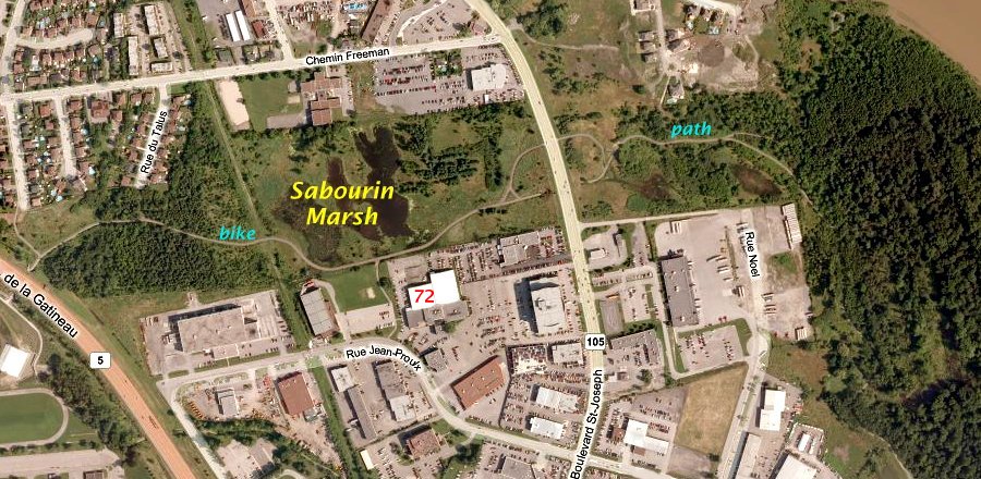 Bing Satellite Map of the Sabourin Marsh Area