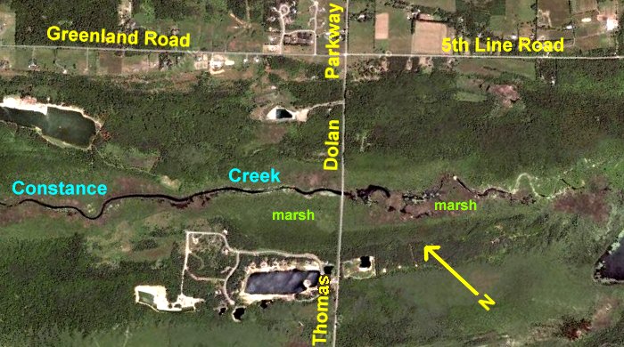 Google Satellite Map of Constance Creek at Thomas Dolan Parkway Area