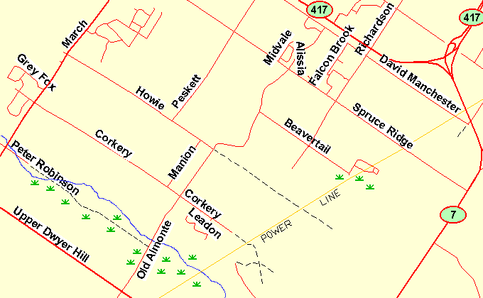 Map of the Cody Creek at Old Almonte Road area