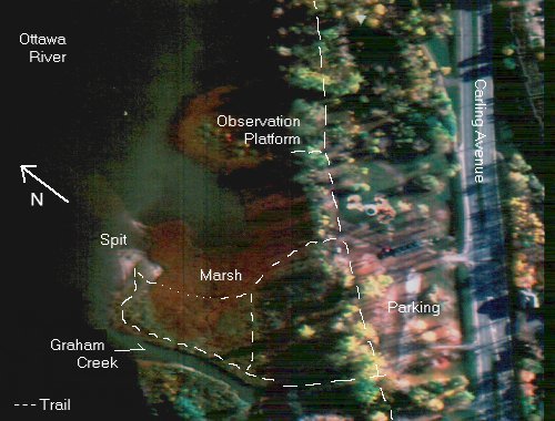 Airborne Image  and Map of Ottawa Beach