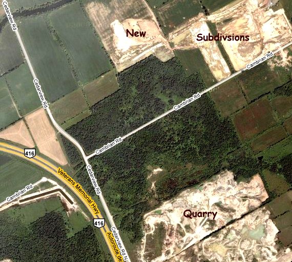 Google Satellite Map of Cambrian & Cedarview Roads Area