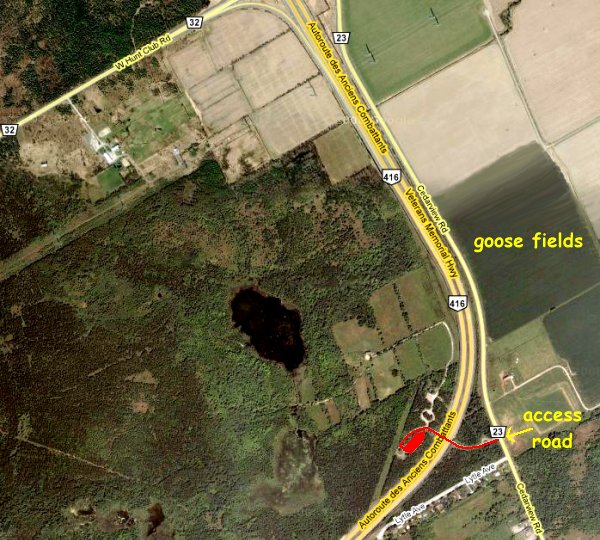 Google Satellite Map of The Log Farm Area