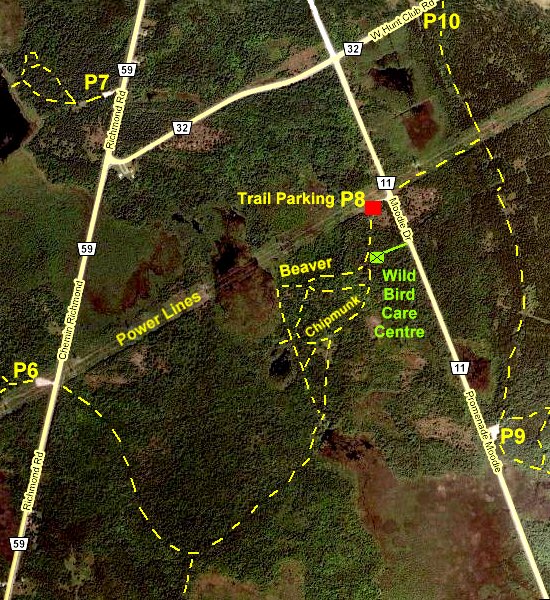 Stony Swamp Trail Map Neilyworld Birding Ottawa - Sw - Stony Swamp Loop - Beaver And Chipmunk  Trails Page