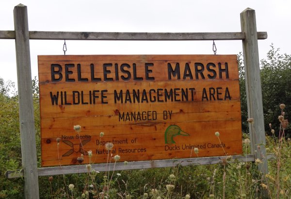 Belleisle Marsh Entrance Sign - Larry Neily
