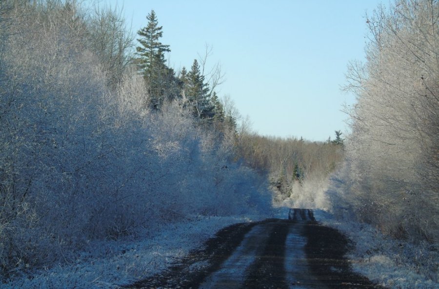 Fire Road 90 in winter