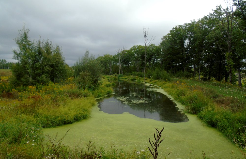 One of the sliver ponds east of the sewage lagoons