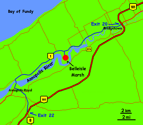 Location Map of the Belleisle Marsh area