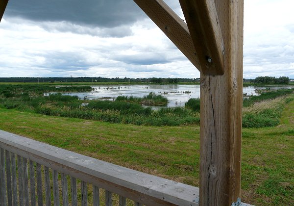 View of the Alfred Sewage Lagoon from Tower