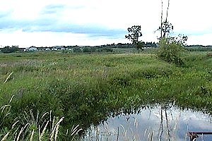View of the Thruso Marsh