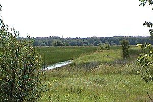 View of marsh at Marais des Laîches West