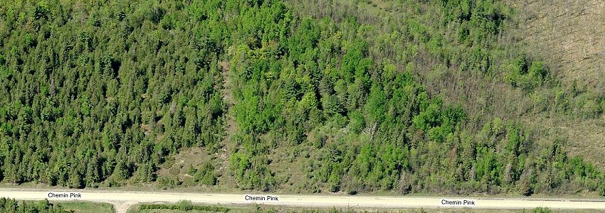 Bing Bird's Eye View of a Section of the Forest North of Chemin Pink (Road)