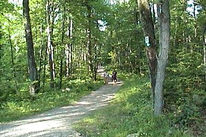 Champlain Lookout Trail