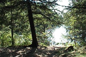 King Mountain Trail (Black Lake)