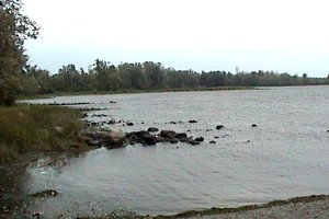 Shoreline of Rivermead / Baie Simard Area