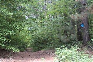 Trail off the North End of Indian Creek Road