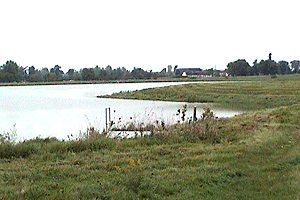 View of Winchester Sewage Lagoons