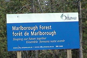 Marlborough Forest Sign