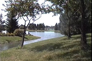 View of Andrew Haydon Park