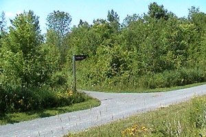 Trail Junction South of Moodie Drive Marsh