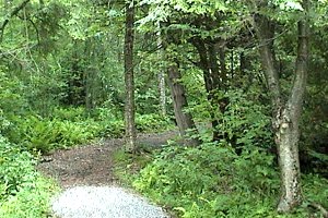 Trail at the Baxter Conservation Area