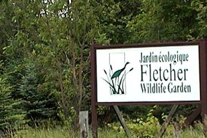 View of Fletcher Wildlife Garden
