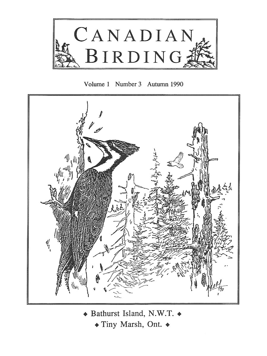 Canadian Birding Autumn 1990 Cover