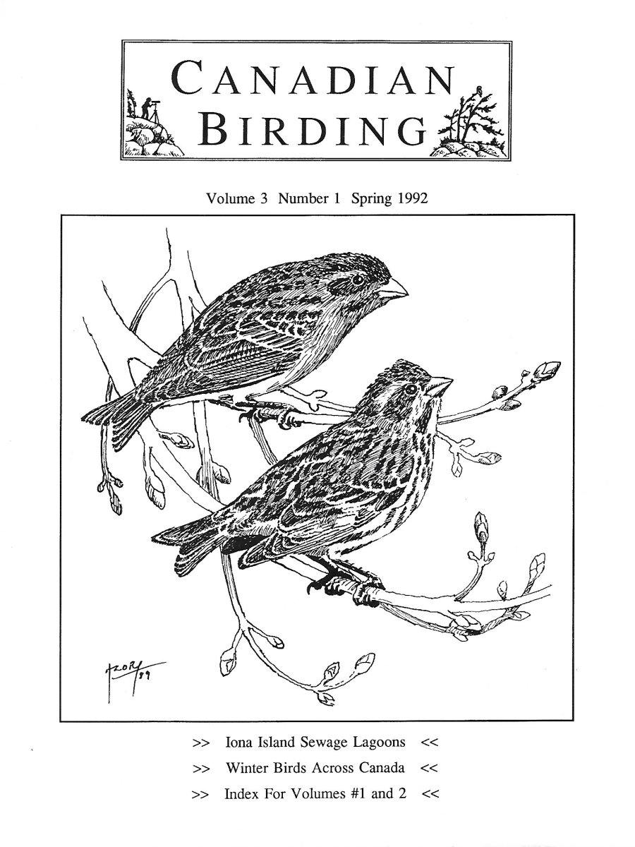 Canadian Birding Spring 1992 Cover