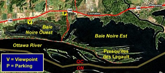 MS Virtual Earth Satellite Map of the Baie Noire West Overlook Area