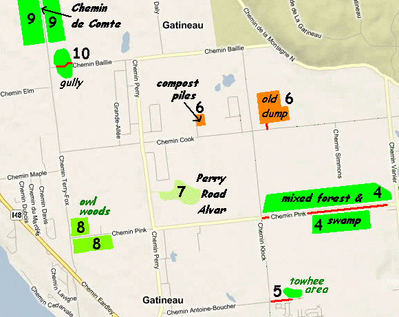Map of the Chemin Pink (Pink Road) West of Chemin Perry (Road) Area