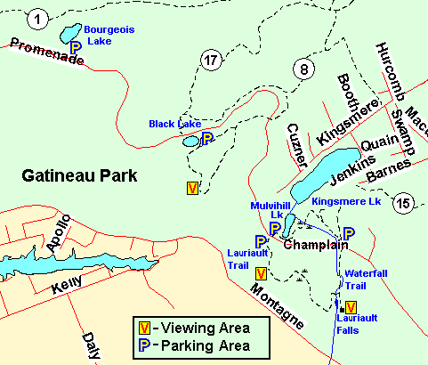 Map of the King Mountain Trail (Black Lake) area, Gatineau Park