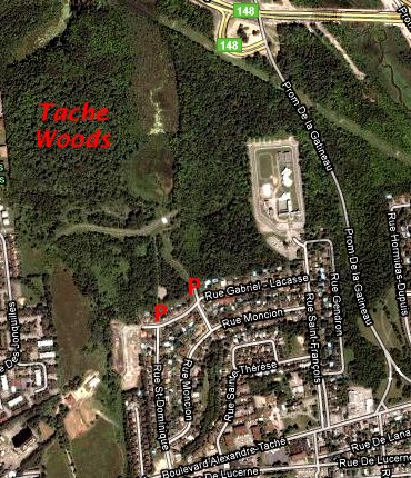 Google Satellite Map of Taché Gardens Woods