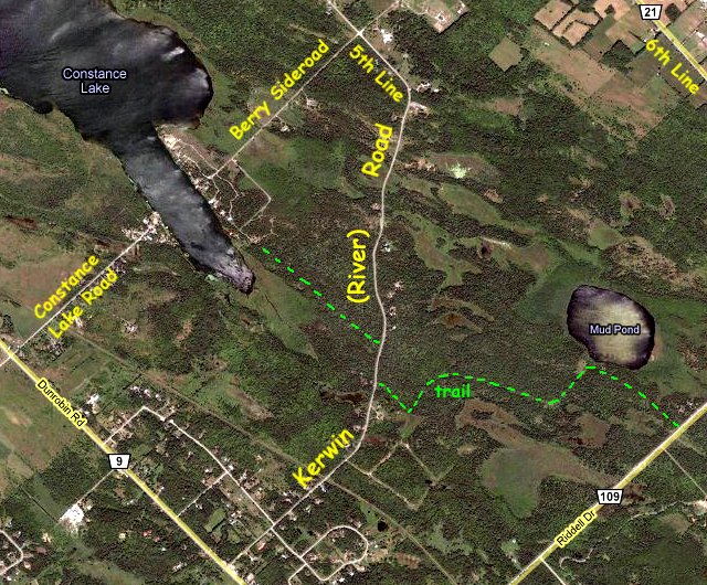 Google Satellite Map of Kerwin (River) Road Area