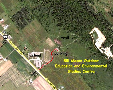 Google Satellite Map of the Bill Mason Outdoor Education and Environmental Studies Centre Area