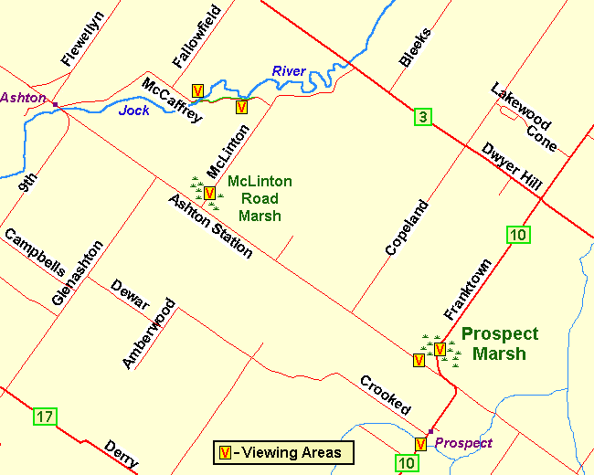 Map of the Prospect Marsh area