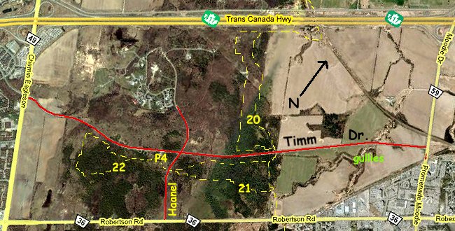 Google Satellite Map of Timm Drive Area