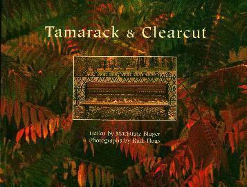 Tamarack and Clearcut